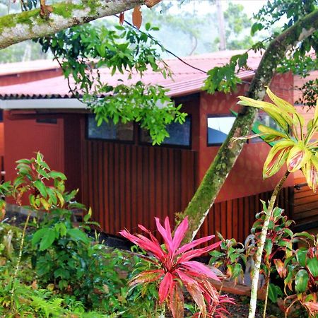 Casitas Eco Bambu Villa Cartago Luaran gambar