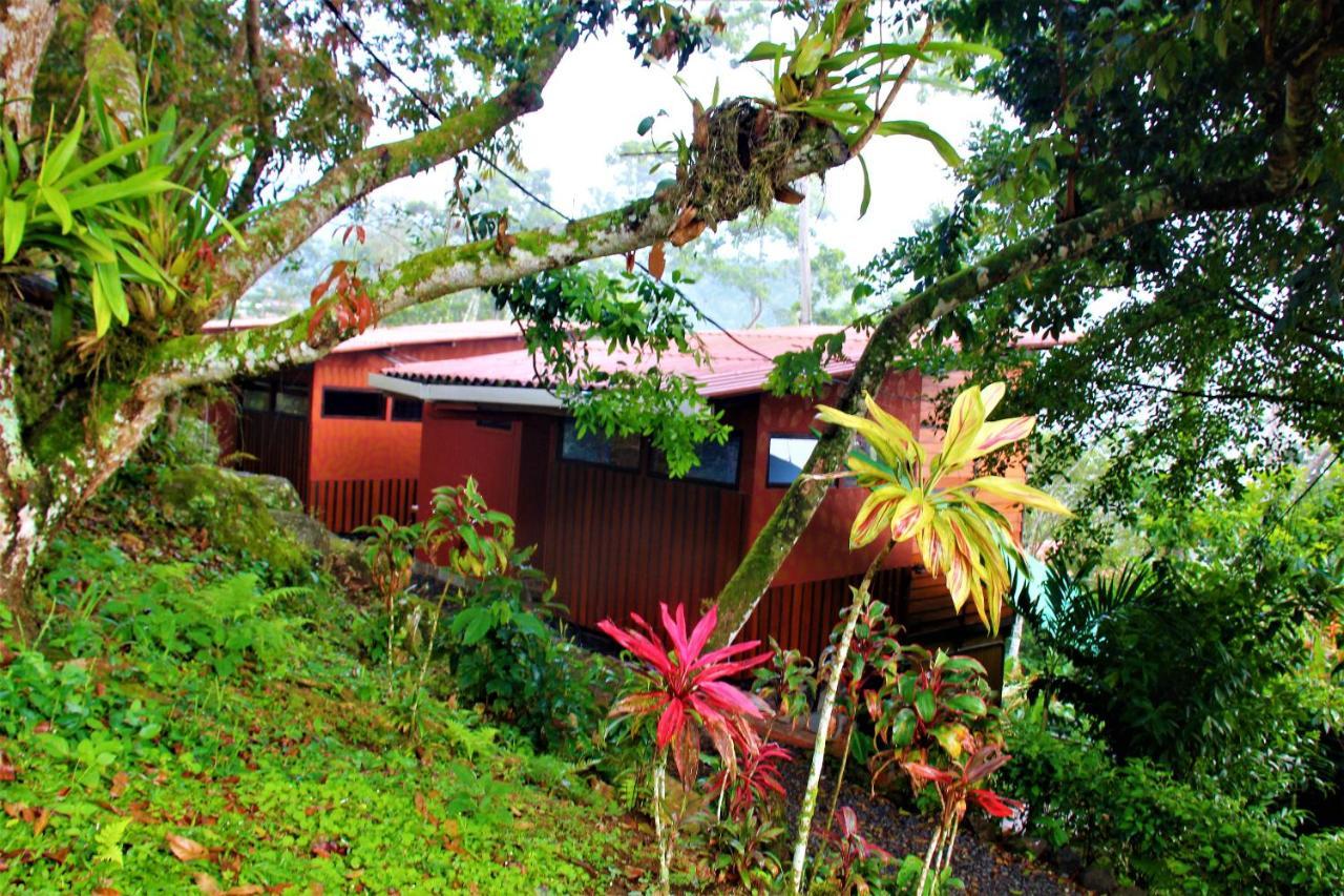 Casitas Eco Bambu Villa Cartago Luaran gambar